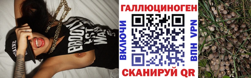 Псилоцибиновые грибы ЛСД  Ржев 