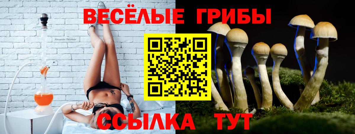 Ржев  магазин  наркотиков  Галлюциногенные грибы прущие грибы  Вход с VPN  Галлюциногенные грибы Psilocybe 