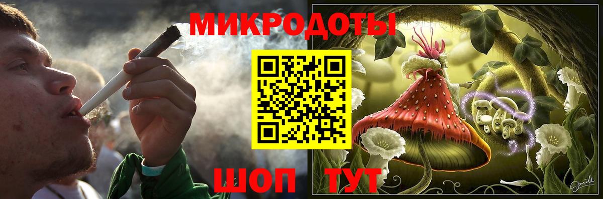 Галлюциногенные грибы Psilocybe Ржев